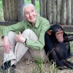 Jane Goodall Vikipedi